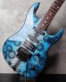 画像8: B.C. Rich Gunslinger Snake Skin Blue 