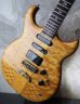 画像11: ALEMBIC Electrum S-S-H / Exotic Maple Quilt Top