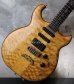 画像13: ALEMBIC Electrum S-S-H / Exotic Maple Quilt Top