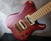 画像3: Carvin USA Custom Shop / Allan Holdsworth Signature Fat Boy HF2   