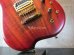 画像9: Carvin USA Custom Shop / Allan Holdsworth Signature Fat Boy HF2   