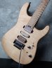 画像1: Charvel Guthrie Govan Sig. HSH Flame Maple / Natural  (1)