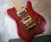 画像5: Carvin USA Custom Shop / Allan Holdsworth Signature Fat Boy HF2   