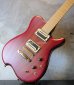 画像2: Carvin USA Custom Shop / Allan Holdsworth Signature Fat Boy HF2   