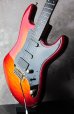 画像4: Bossa Stratocaster Custom Maple / FIRE BURST