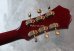 画像6: Epiphone RIVIERA / Cherry Red