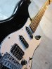 画像11: Davis Custom Guitars Vintage Stratocaster Black FRT