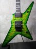 画像1: David Thomas McNaught StaRR Reptile Burst (1)