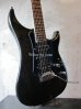 画像8: Vigier Excalibur Shawn Lane Master Signature  