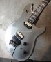 画像1: EVH Wolfgang USA Silver  (1)