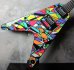 画像8: DEAN USA Michael Schenker Flying V Kaleidoscope 