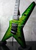 画像4: David Thomas McNaught StaRR Reptile Burst