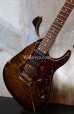 画像4: Tom Anderson Angel-Family / Guardian Angel / Tiger Eye Burst with Binding