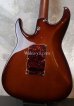 画像7: Tom Anderson Angel-Family / Guardian Angel / Tiger Eye Burst with Binding