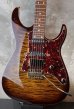 画像1: Tom Anderson Angel-Family / Guardian Angel / Tiger Eye Burst with Binding (1)