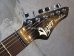 画像2: Vigier Excalibur Supra HSH / Urban Metal "NEW" 