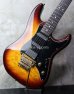 画像8: Valley Arts M-Series Sunburst 