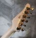 画像5: Tom Anderson Drop Top Classic Transparent Black with Binding