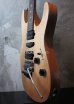 画像5: Suhr Modern Satin / African Mahogany  