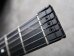 画像2: Steinberger GL-2T '89