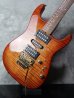 画像8: Tom Anderson Grand Am Figured Maple w/ Swicheroo / Honey Burst USED