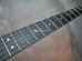 画像3: Steinberger GL-2T '89