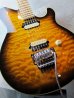 画像7: Terry Rogers Lisa / Birdseye Neck /Super Quilt Sunburst 