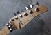 画像2: Tom Anderson Drop Top Classic Deep Bora Bora with Binding