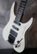 画像8: Steinberger GM-4T / White ｀90s