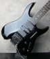 画像6: Steinberger GM-7TA / Black 