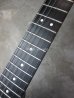 画像4: Steinberger GL-2T