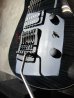 画像5: Steinberger ZT-3 Custom / Trans Black　