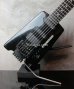 画像2: Steinberger GL-4T 