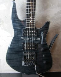 Steinberger ZT-3 Custom / Trans Black　