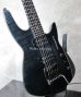 画像3: Steinberger ZT-3 Custom / Trans Black　