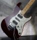 画像8: SCHECTER EX-5  22 CTM FRT / RSB / Birds Eye Flame Maple 