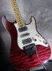 画像9: SCHECTER EX-5  22 CTM FRT / RSB / Birds Eye Flame Maple 