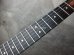 画像7: Steinberger GL-4T 