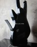 画像9: Steinberger ZT-3 Custom / Trans Black　