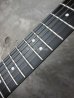 画像6: Steinberger GL-2T