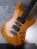 画像14:  Valley Arts Custom Pro USA Quited Maple H-S-H / Natural Amber