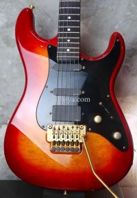 Valley Arts Custom Pro USA  / １ Piece Maple / FIRE BURST