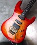 画像13: Valley Arts Custom Pro USA '93 / Fire Burst