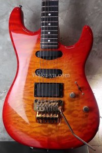 Valley Arts Custom Pro USA '93 / Fire Burst