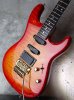 画像9: Valley Arts Custom Pro USA '93 / Fire Burst