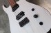 画像10: Skervesen Velociraptor 6-Strings / Trans White Top