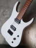 画像9: Skervesen Velociraptor 6-Strings / Trans White Top