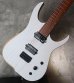 画像14: Skervesen Velociraptor 6-Strings / Trans White Top