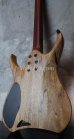 画像6: Mayones Hydra 6 / Black Limba