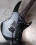 画像13: Hamer USA Phantom  A5  Glenn Tipton Black  / Vintage 